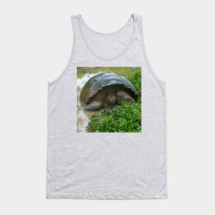 Galapagos Islands Giant Tortoise Turtle Tank Top